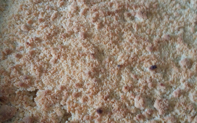 Cuca de farofa com leite condensado e coco