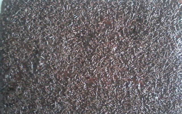 Bolo de chocolate molhadinho