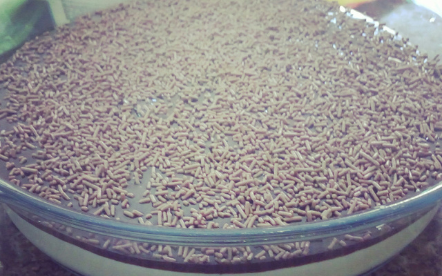 Torta de coco com creme de chocolate