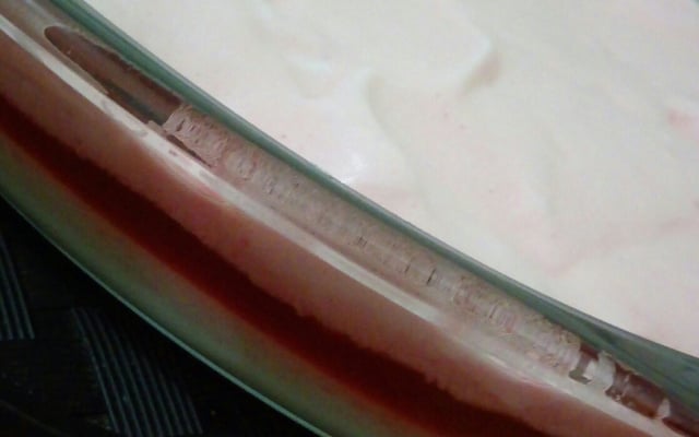 Gelatina cremosa 3 camadas