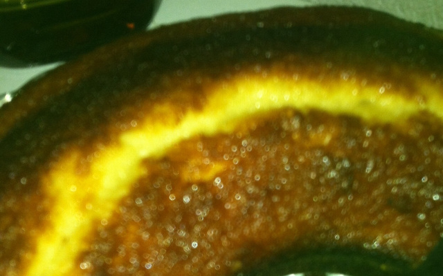 Bolo de pão da Gislaine