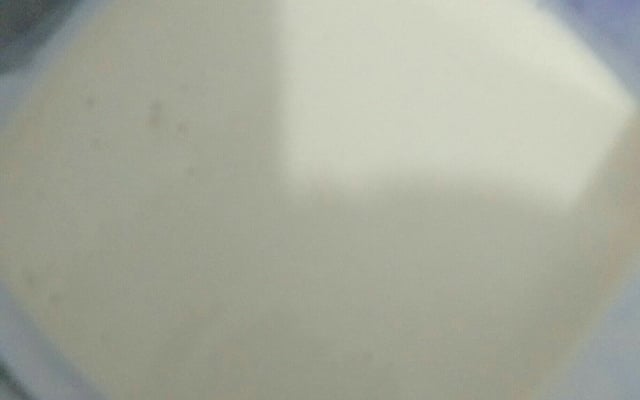 Leite Condensado de Leite em Pó