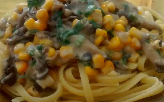 Macarrão com molho de cogumelos