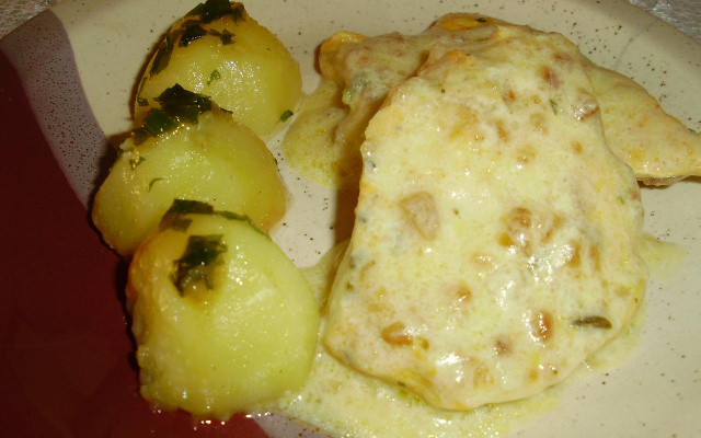 Frango com creme de cebola