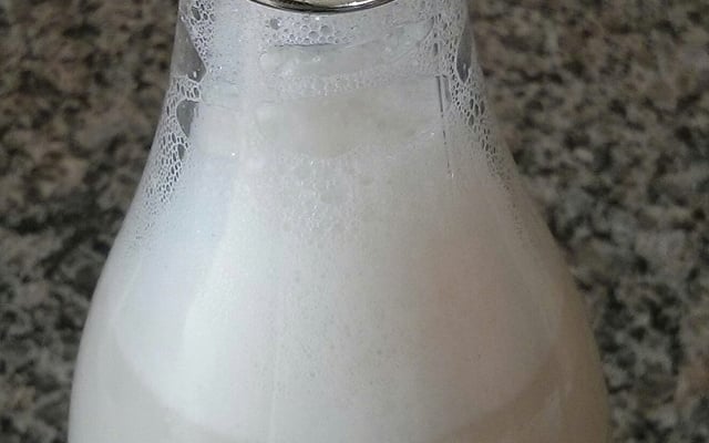 Leite fermentado caseiro (igual yacult)