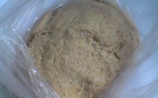 Pão Folha de trigo integral (Vegan)