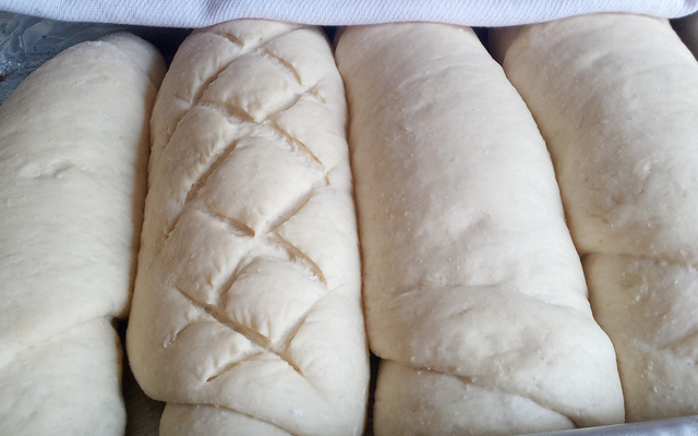 Pão caseiro básico