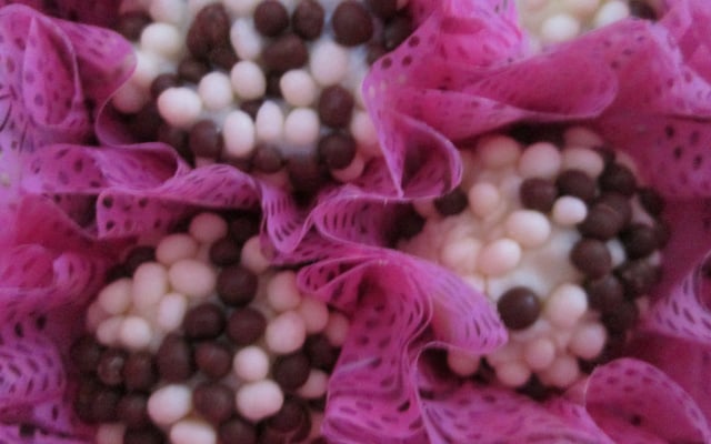 Docinho de leite ninho