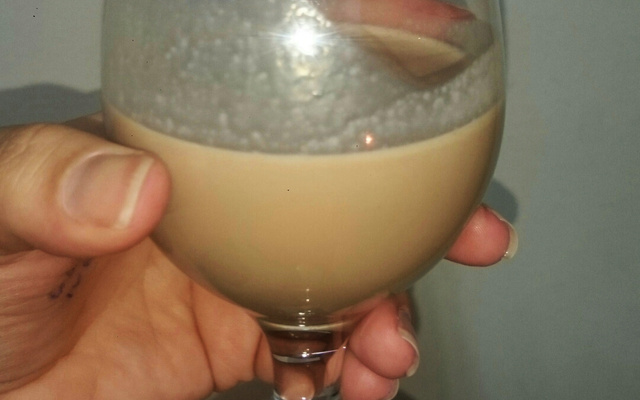 Amarula caseira fácil