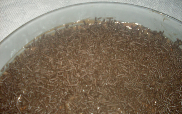 Pavê fácil de chocolate