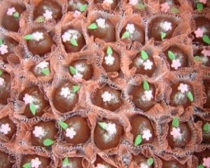 Beijinho banhado com chocolate