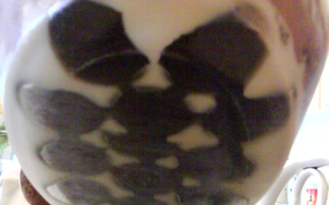 Pavê de biscoito Negresco