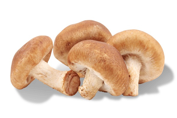 Cogumelos grelhados ao molho gorgonzola