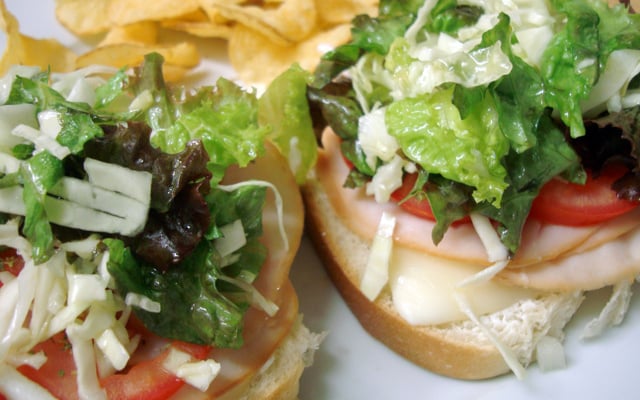 Lanche de peito de peru com queijo