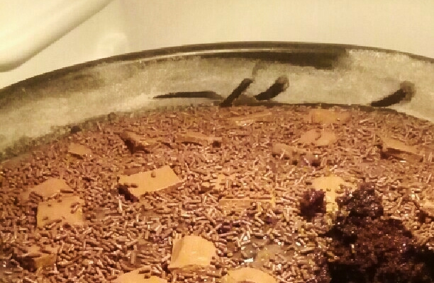 Bolo de chocolate molhado