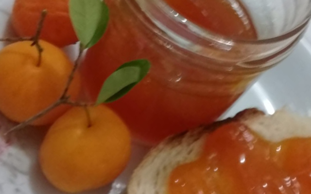 Geleia  de Uvaia da Vó Helena 