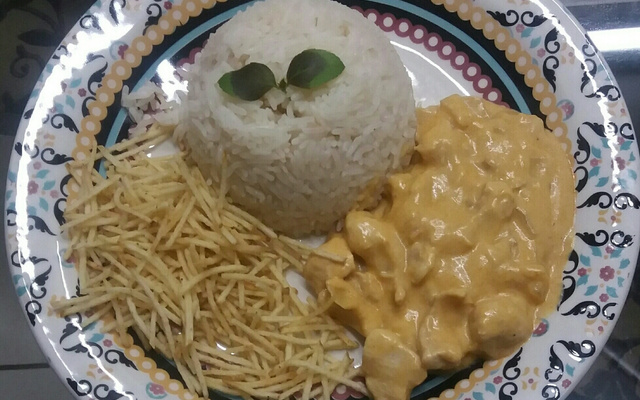 Strogonoff de frango da família Meneguini