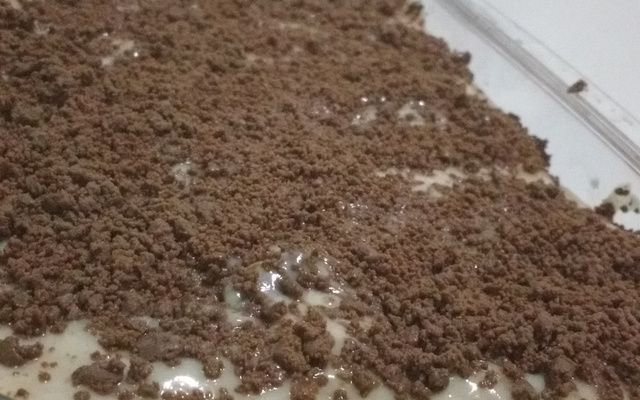 Pavê simples de paçoca