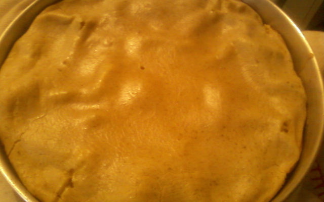 Torta de frango rápida