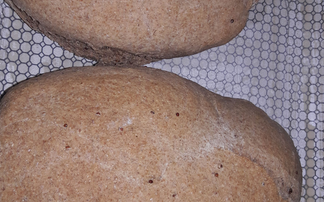 Pão integral com quinoa