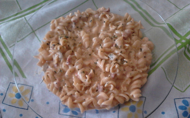 Estrogonofe de macarrão