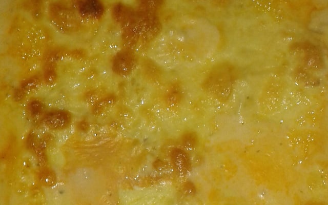 Lasanha com frango ao molho branco