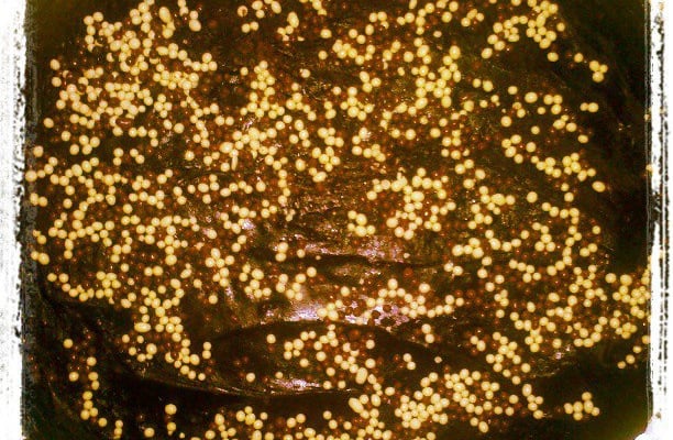 Cobertura durinha de chocolate fácil