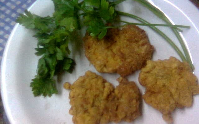 Bifes de carne moída