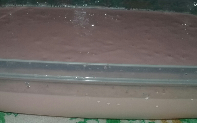 Sobremesa tipo danone caseiro