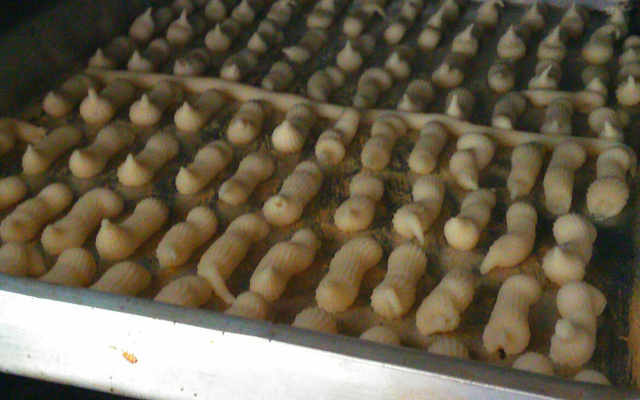 Biscoito de polvilho azedo