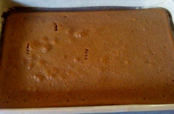 Bolo de chocolate do Tijolinjo