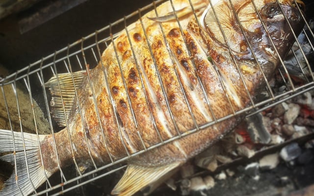 Pacu Assado na Brasa