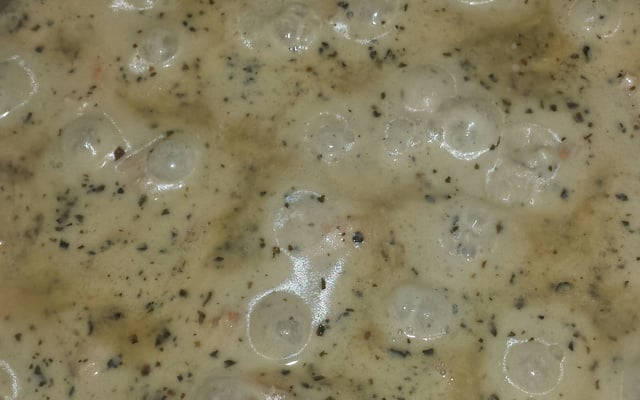 Macarrão com salmão e camarão