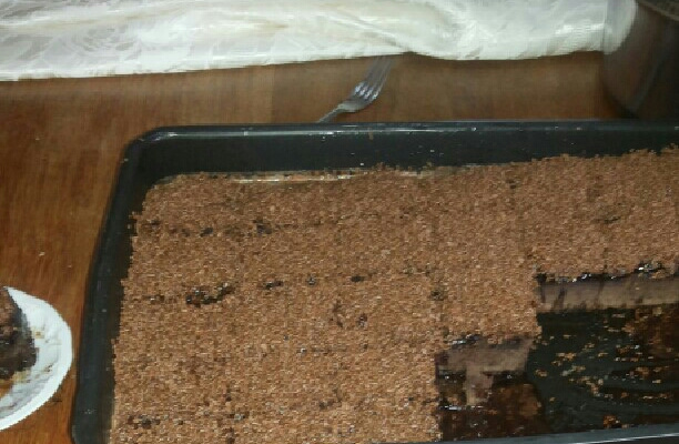 Brownie de chocolate em pó