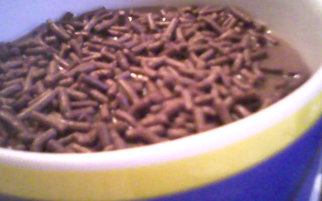 Falso mousse de chocolate