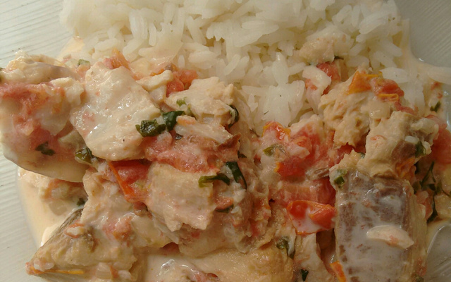 Cação com creme de leite