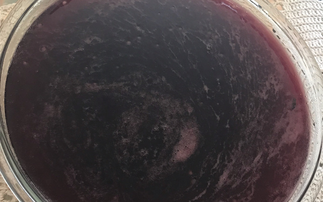 Sagu com creme inglês