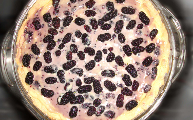 Torta de Amora