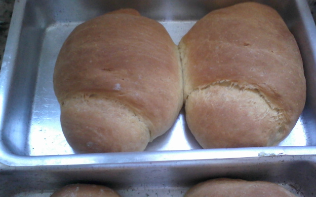 Pão Caseiro
