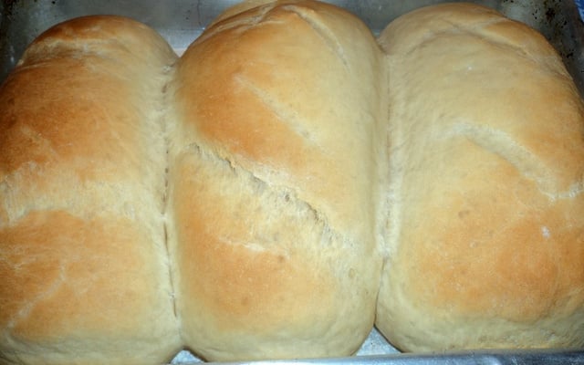 Pão caseiro - Massa base