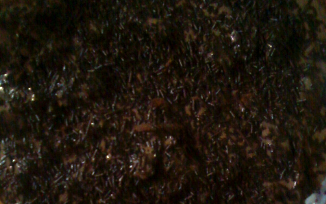 Pavê de chocolate fácil