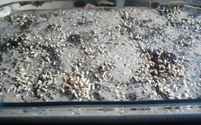 Meu pavê de chocolate