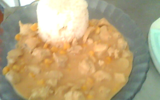 Estrogonofe de frango da Káh