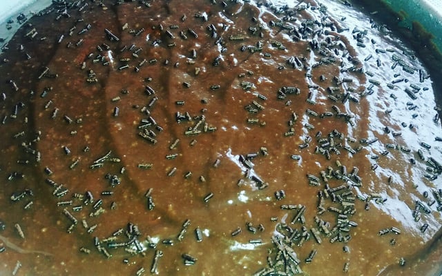 Bolo simples de chocolate