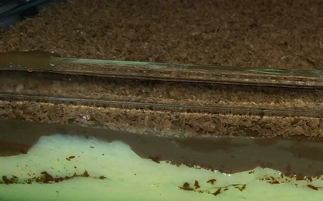 Sobremesa tipo prestígio