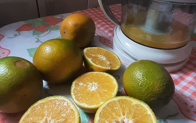 Suco de laranja tropical