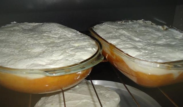 Favo de mel delicioso