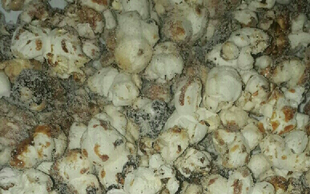 Pipoca gourmet choconinho