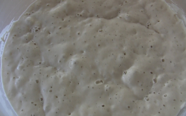 Fermento biológico caseiro