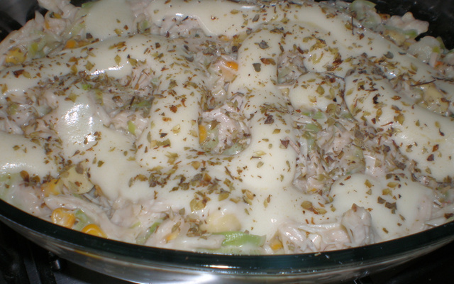 Frango ao creme de alho poró e requeijão